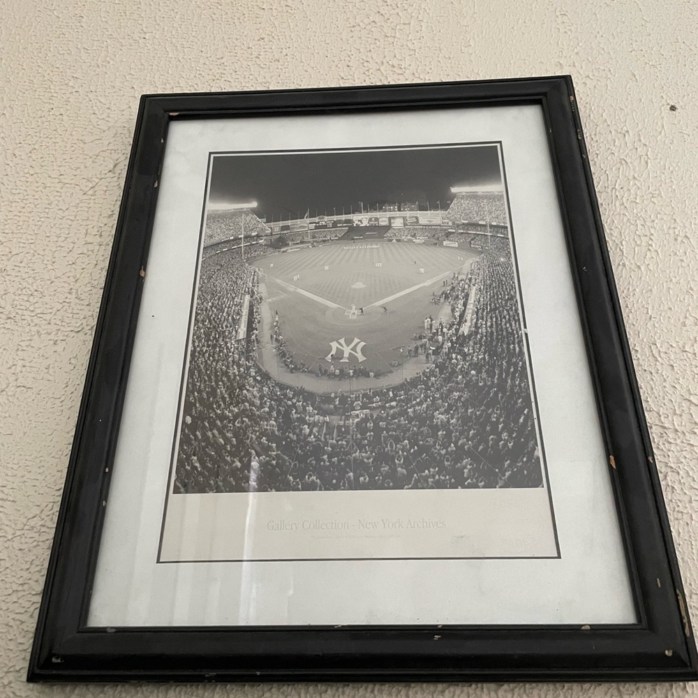 New York Yankee Photo